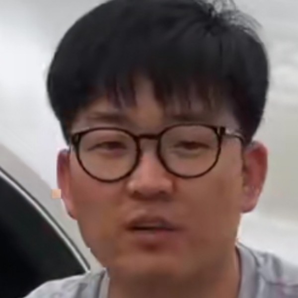 云南松的照片