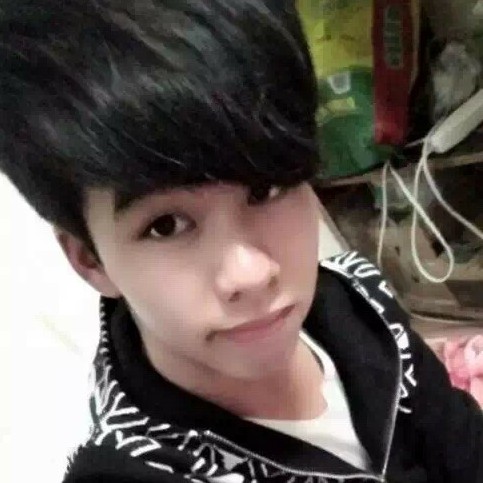 飞益鸟的照片