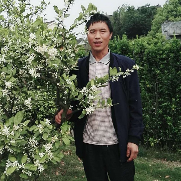 人生如梦，一如梦的照片