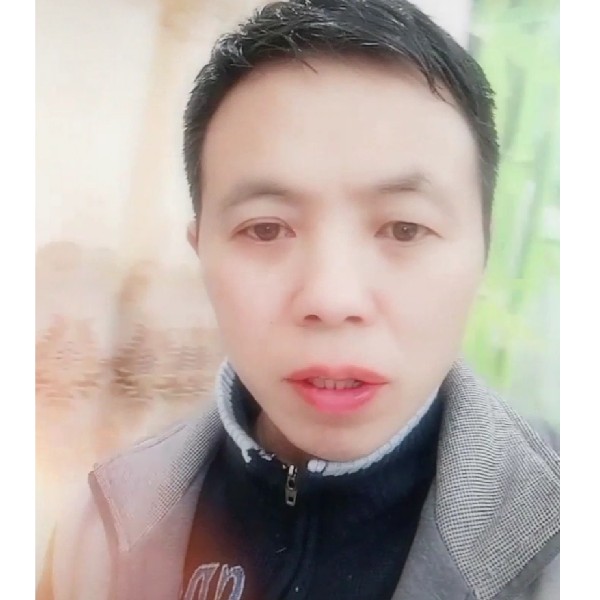 寂寞的一匹狼的照片