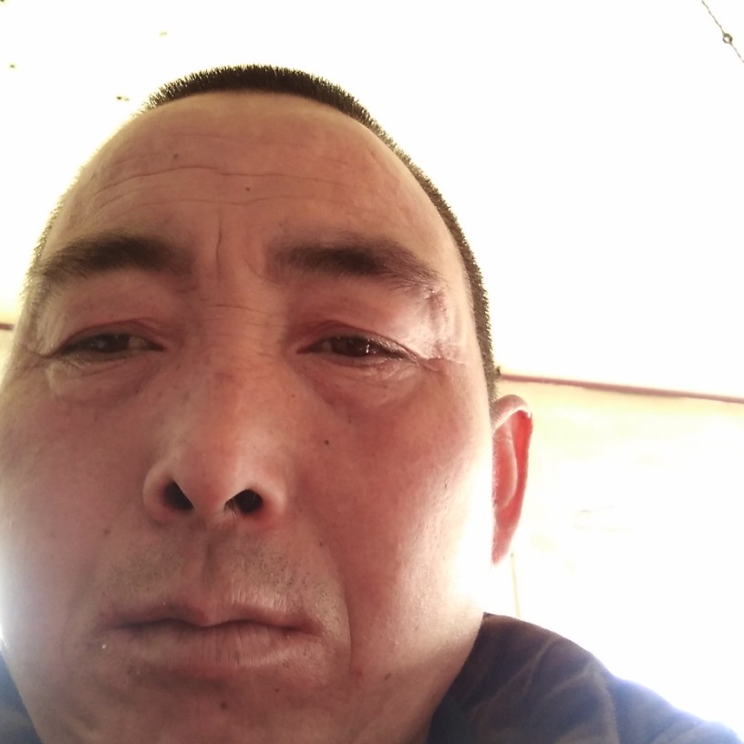 大家中午好。的照片