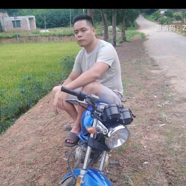 问世间情是何物的照片