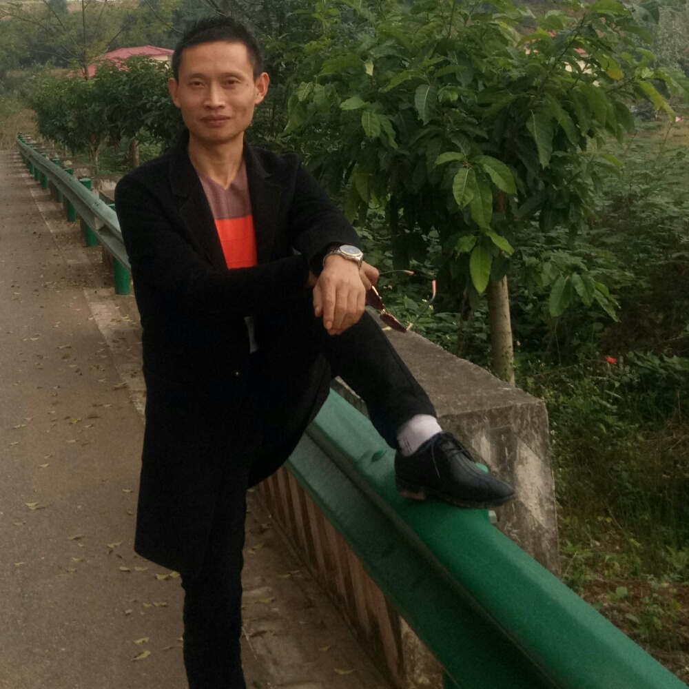 山谷里的小溪的照片