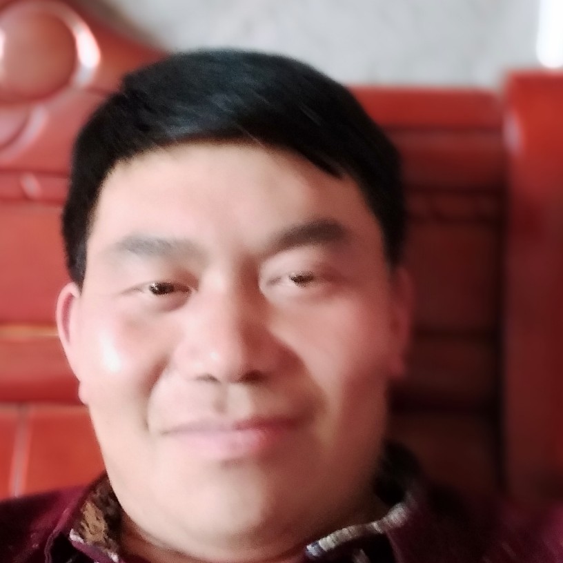 我是永爱你一生的照片