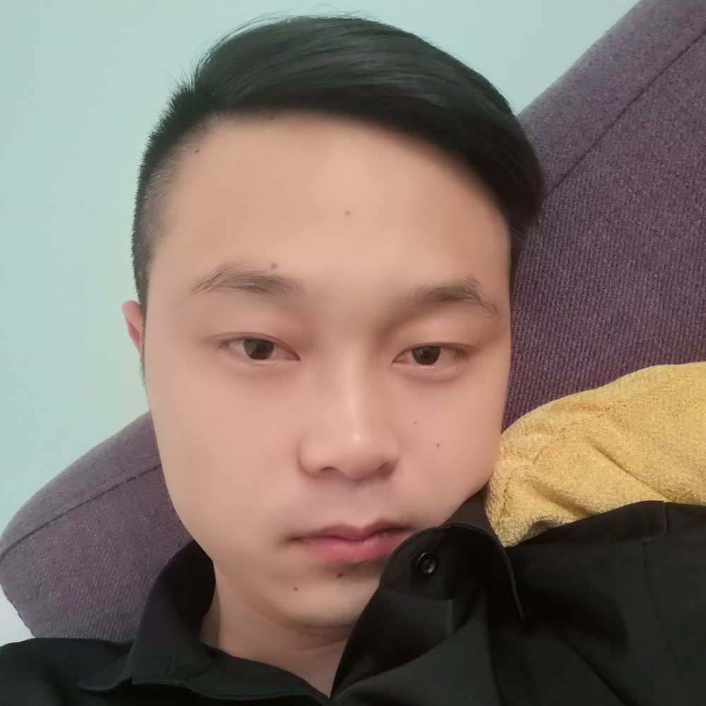 暖光等待机智的照片