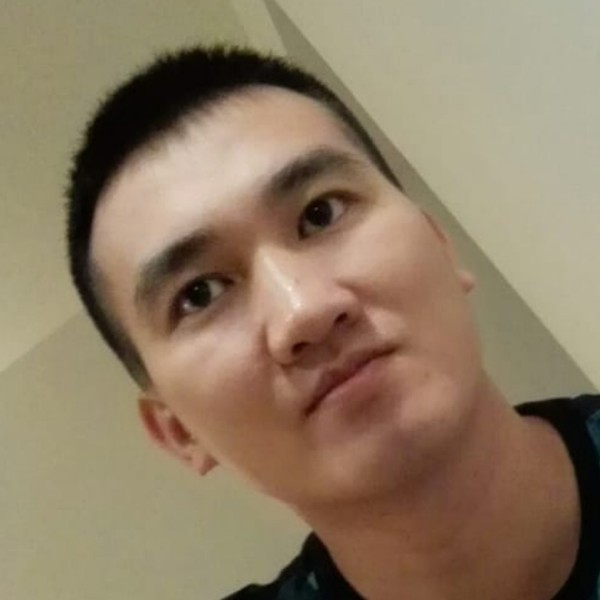 忧虑狮子的照片