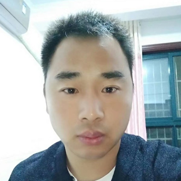 小海豚与懦弱的照片