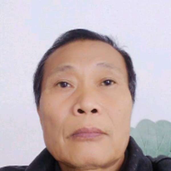 典雅香菇的照片