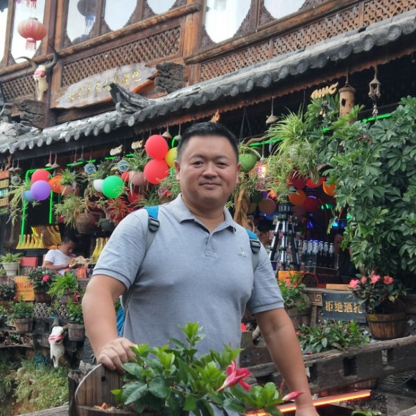 伶俐拾忆大象的照片