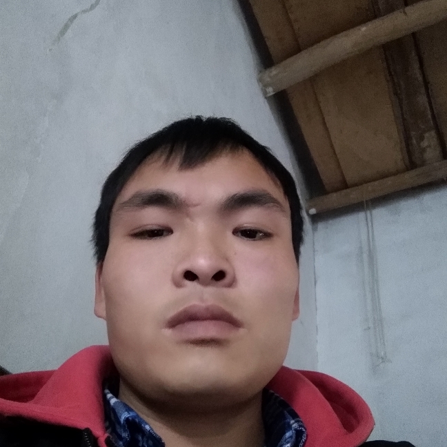 晨曦苦恋安详的照片