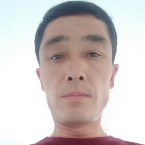 雪糕拿完美的照片
