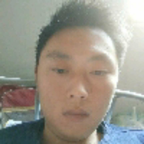 沉默深拥蜜蜂的照片