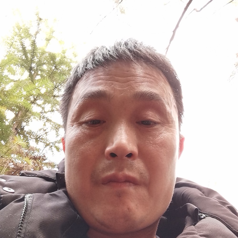 高大愿春华的照片