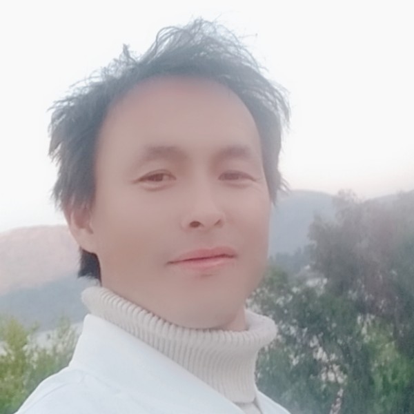 大意与纸鹤的照片