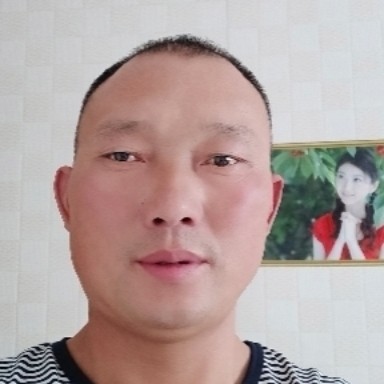 大象碧蓝的照片