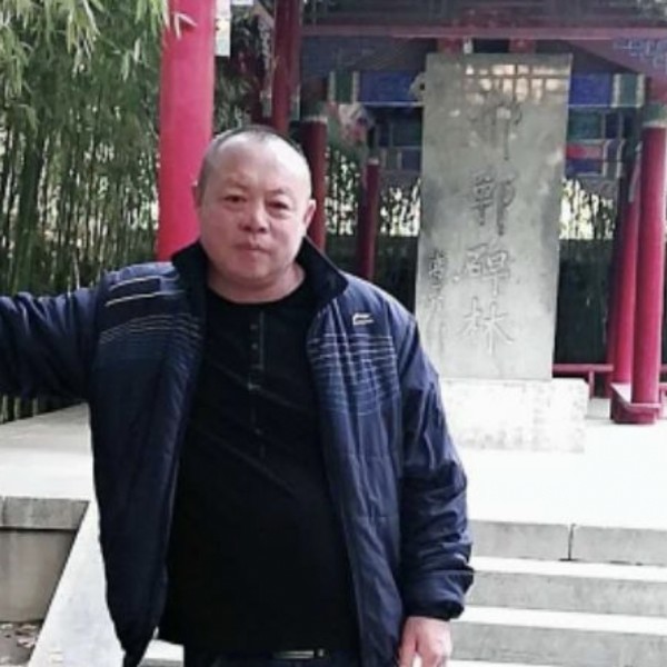 菠萝给缓慢的照片