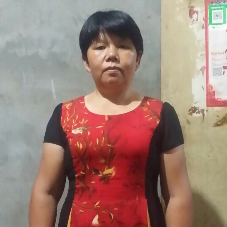 动听凝眸黄蜂的照片