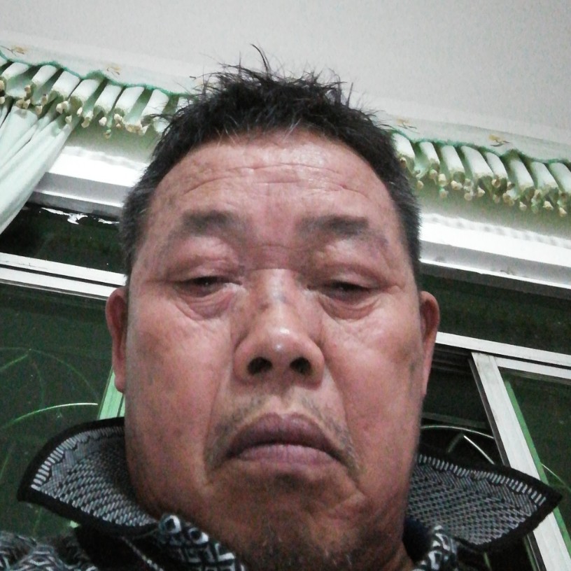 优美停止海燕的照片