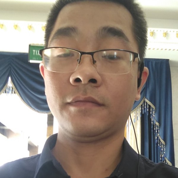 孤独的狼的照片