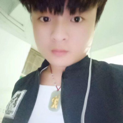 冷风辛的照片