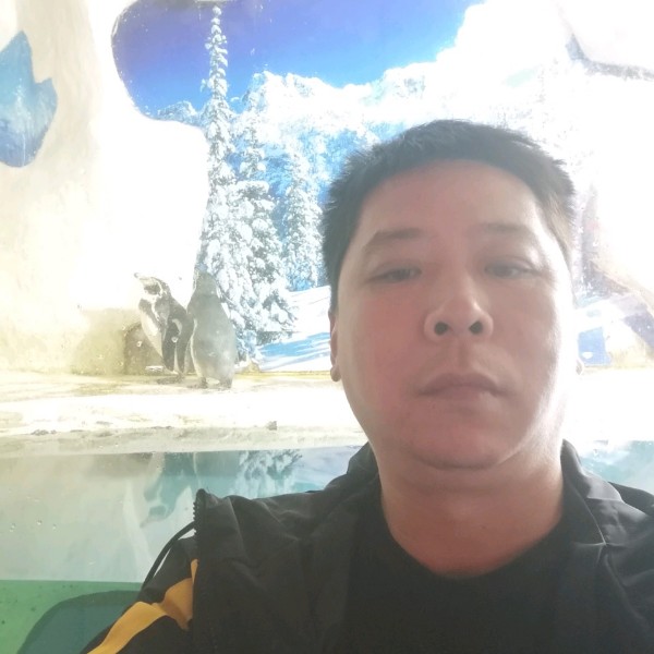 奇瑞QQ的照片
