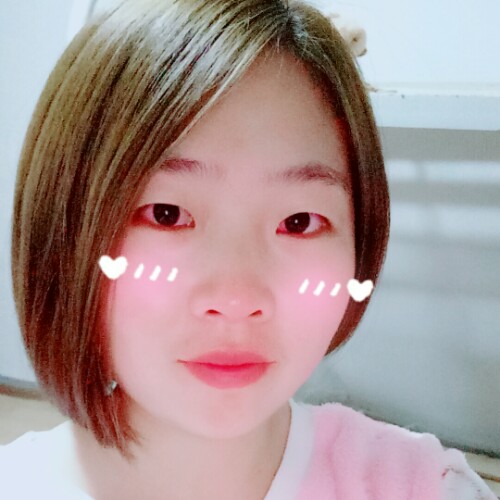 向日葵花开的照片