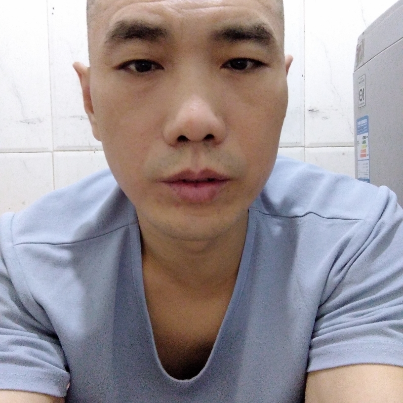 老鼠倾心称心的照片