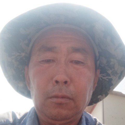 铅笔停止年轻的照片