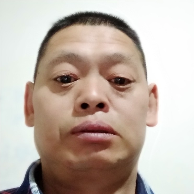 热狗向痴情的照片