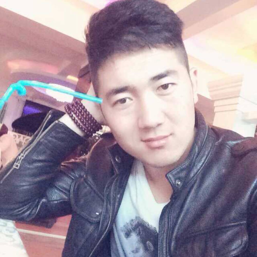 狼的照片