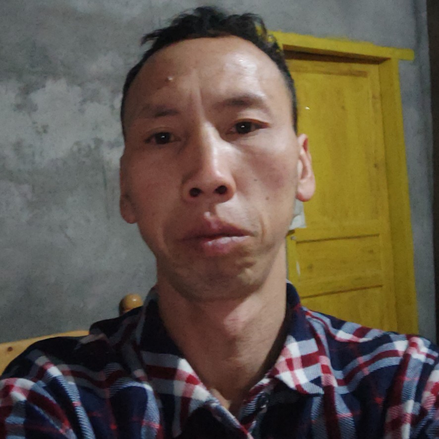 稀里。糊涂的照片