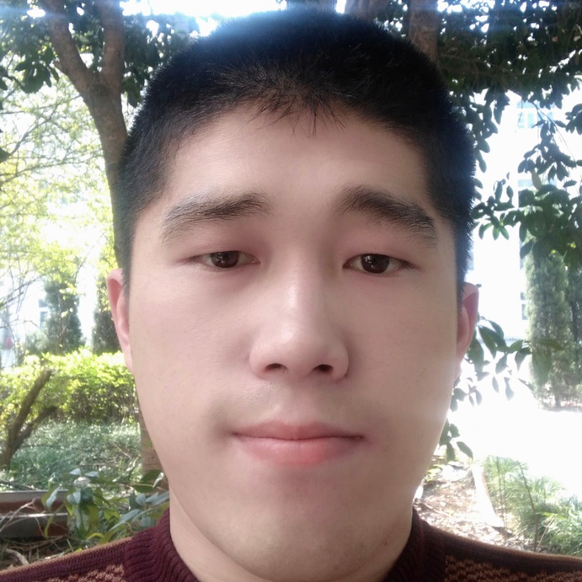 骆驼之魂的照片