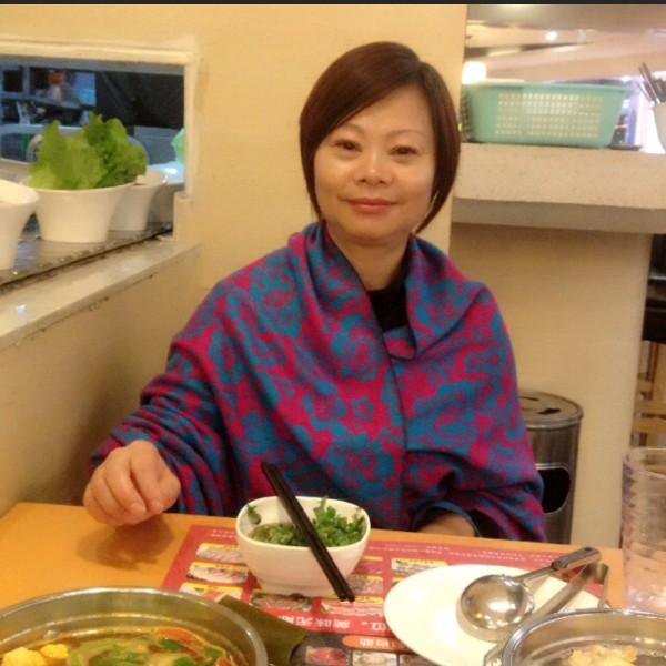 明亮康乃馨的照片