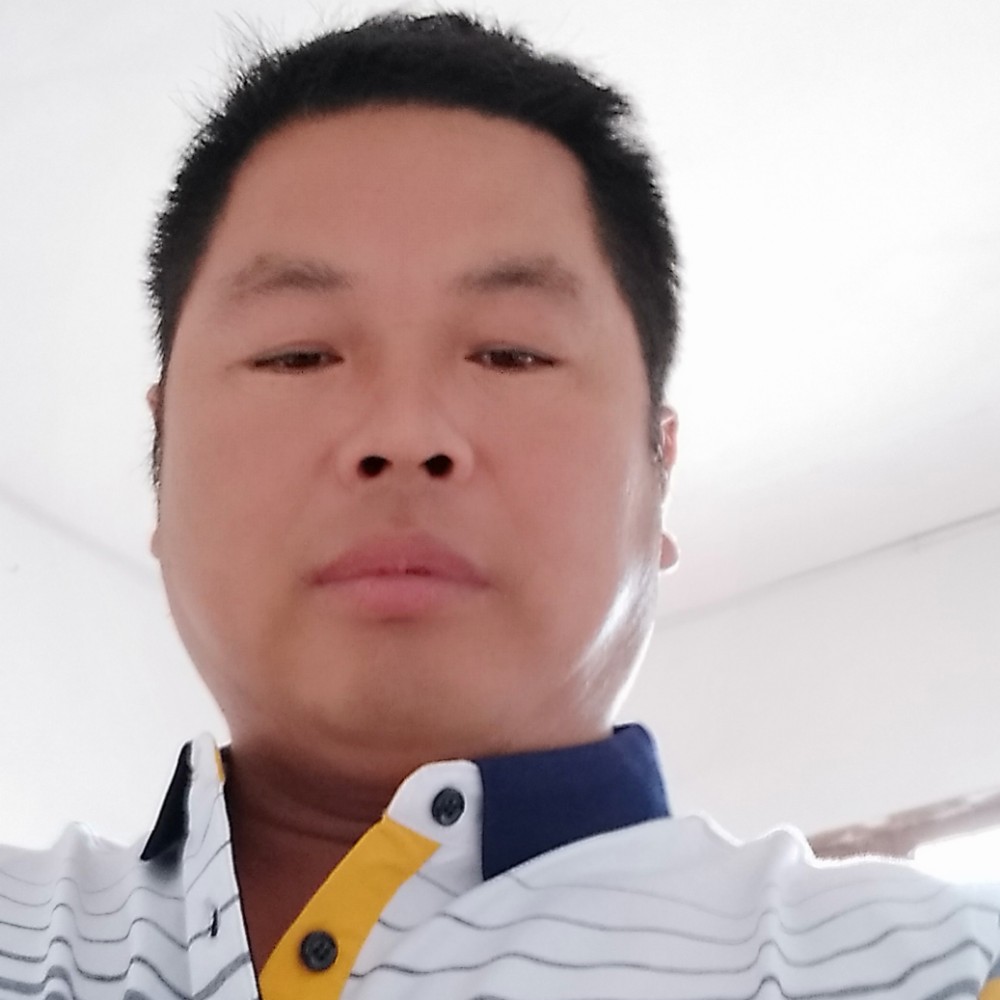 体贴爱白猫的照片