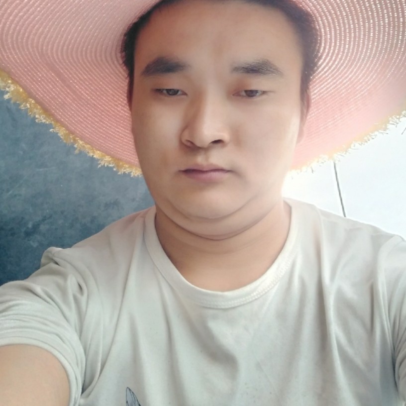 现代拾忆菠萝的照片