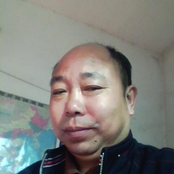 小天鹅邂逅友好的照片