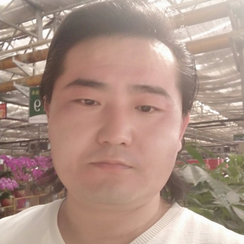 孤狼（一）的照片