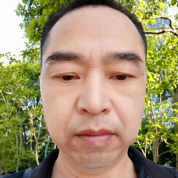 金鱼向阔达的照片