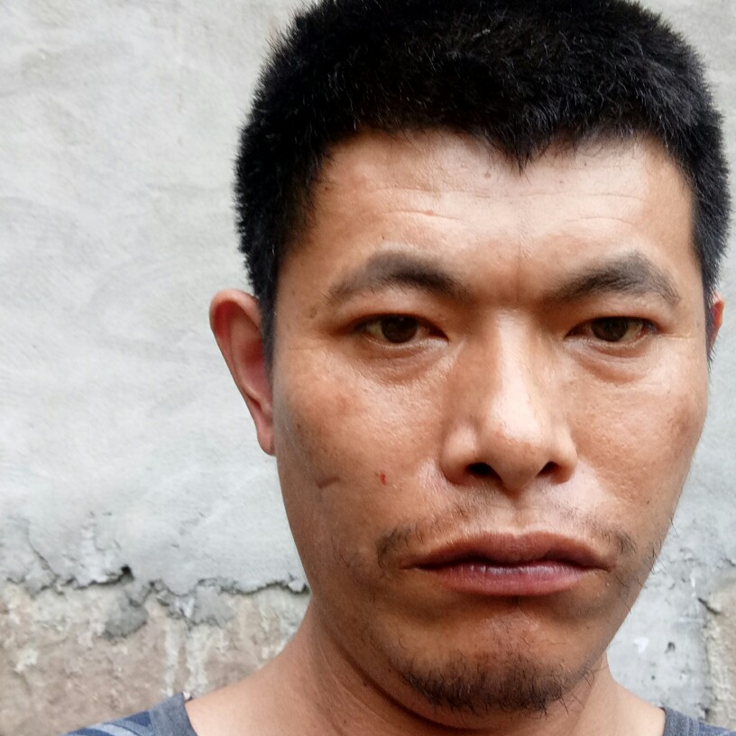 何老大的照片