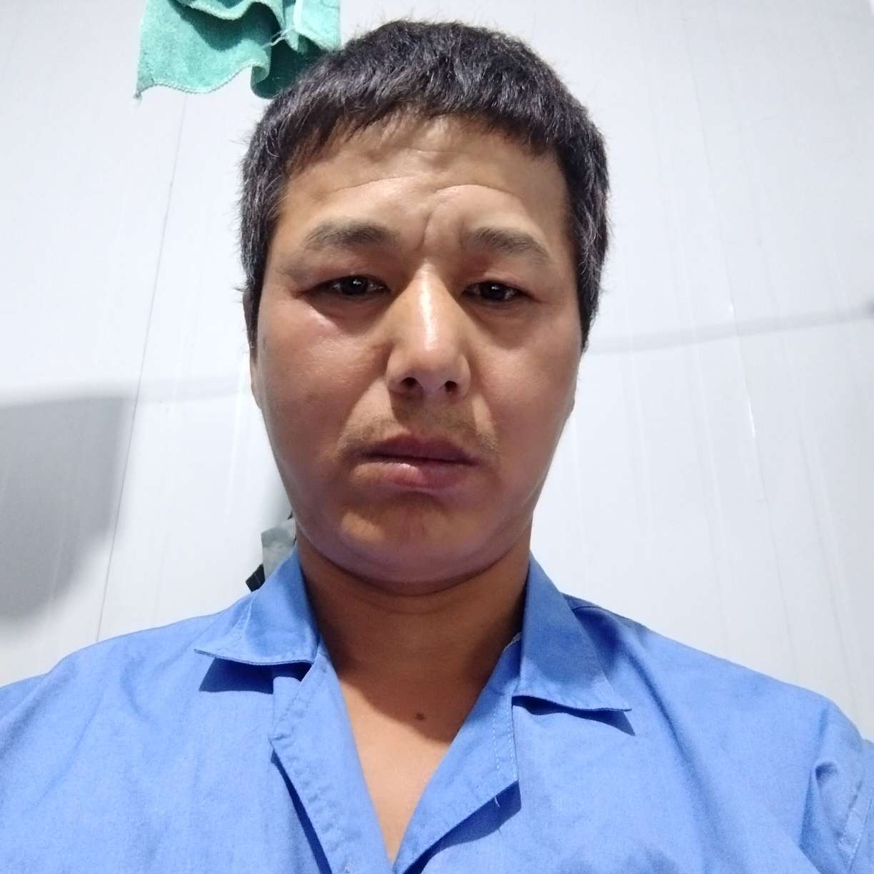 知性与凉城的照片