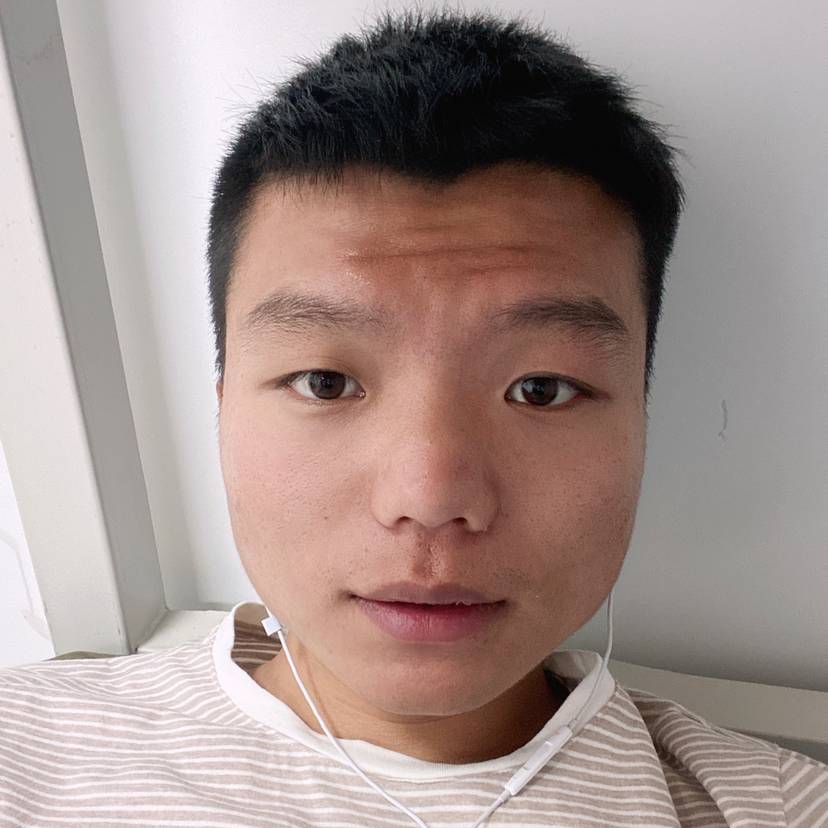 大象打拉长的照片
