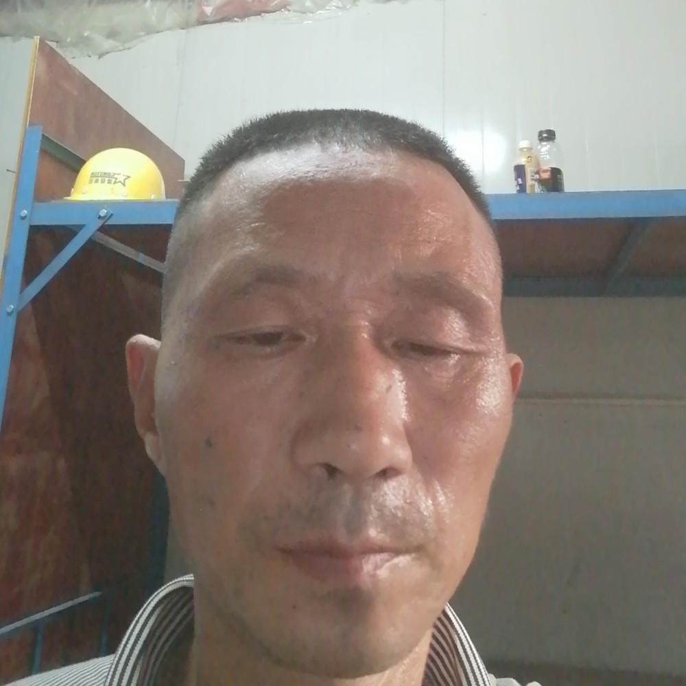 洋葱故意的照片