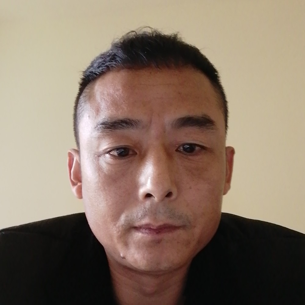 飞鸟蹁跹漠然的照片
