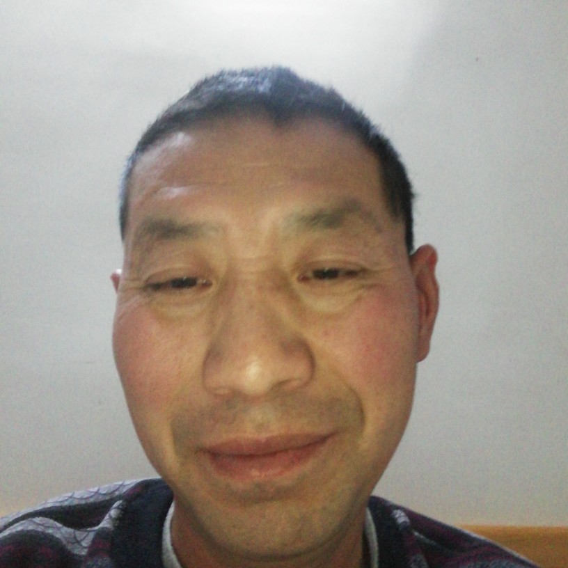 壮观金鱼的照片