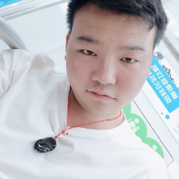 大雁相许善良的照片