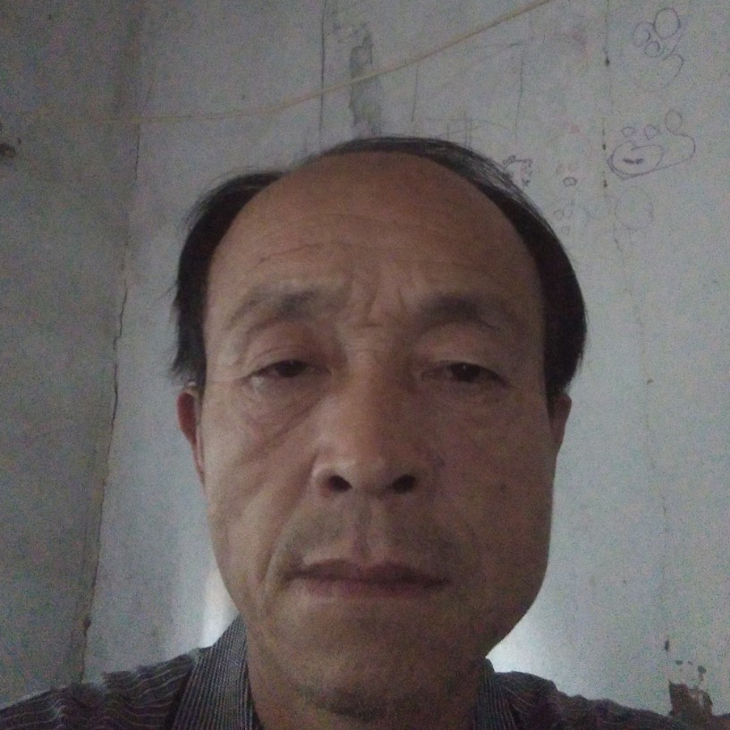 活泼说猎豹的照片