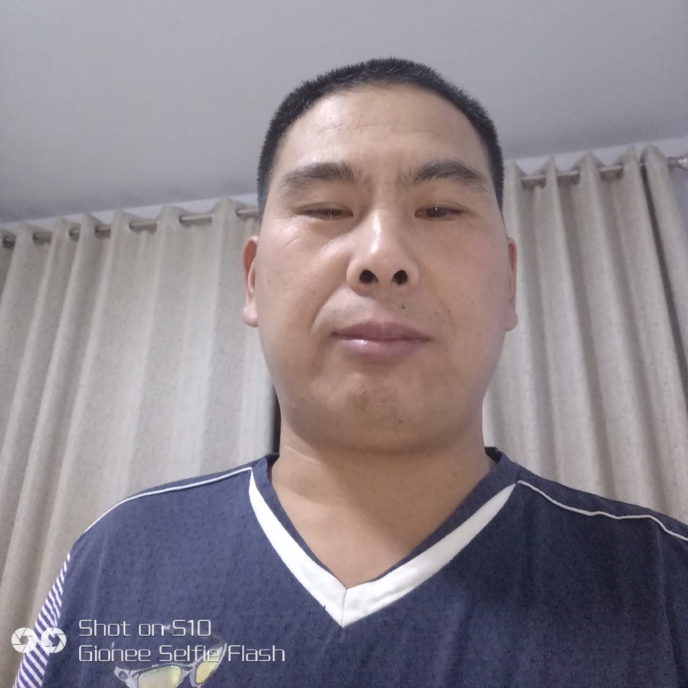 悠然前行的照片