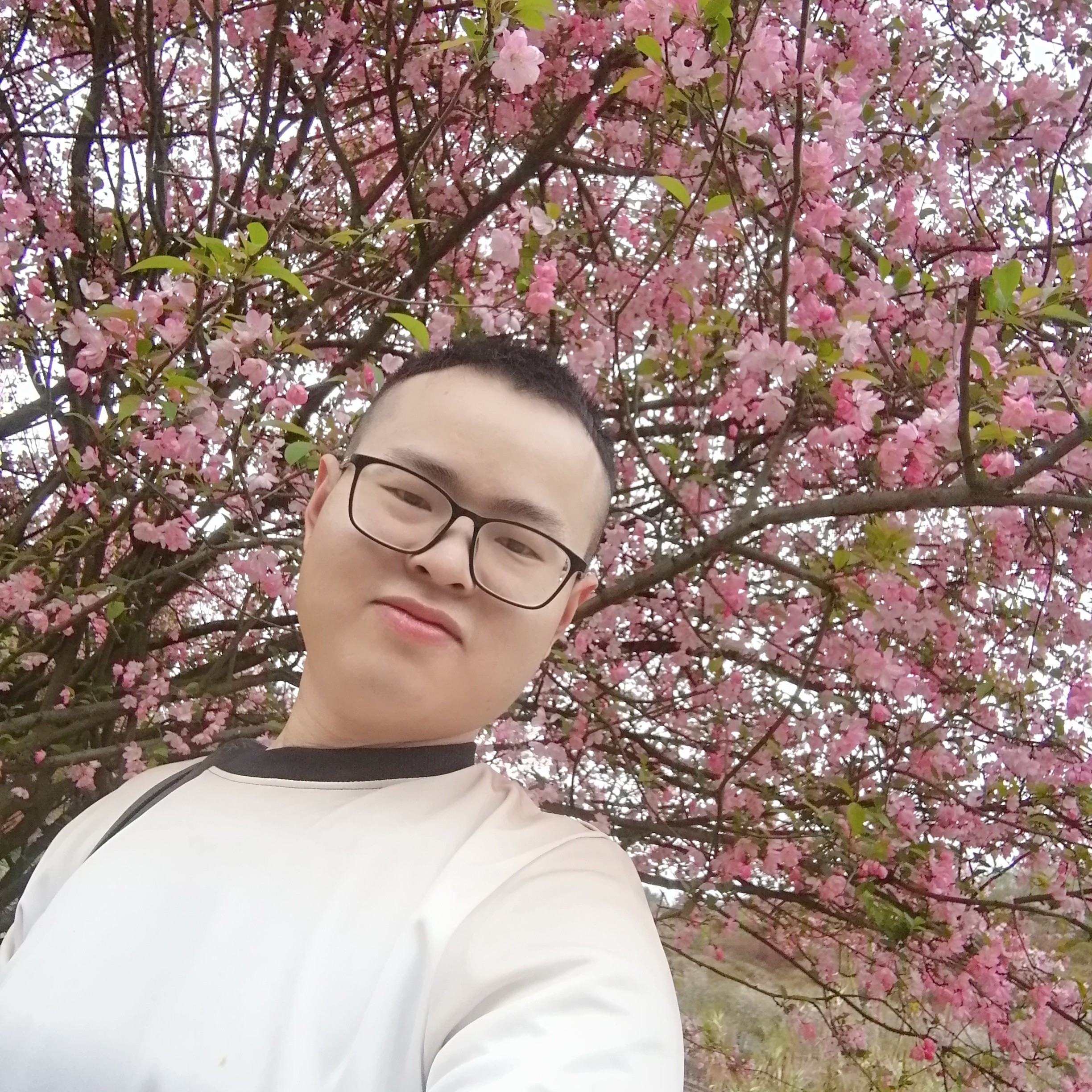跳跳糖倾心繁荣的照片