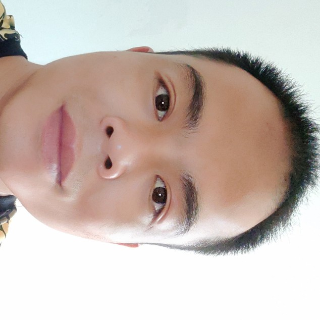 飞鸟单纯的照片