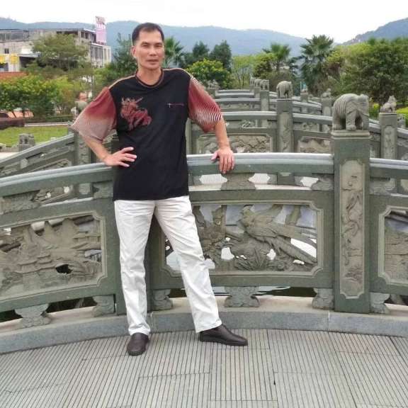 猫咪爱恋爱听歌的照片